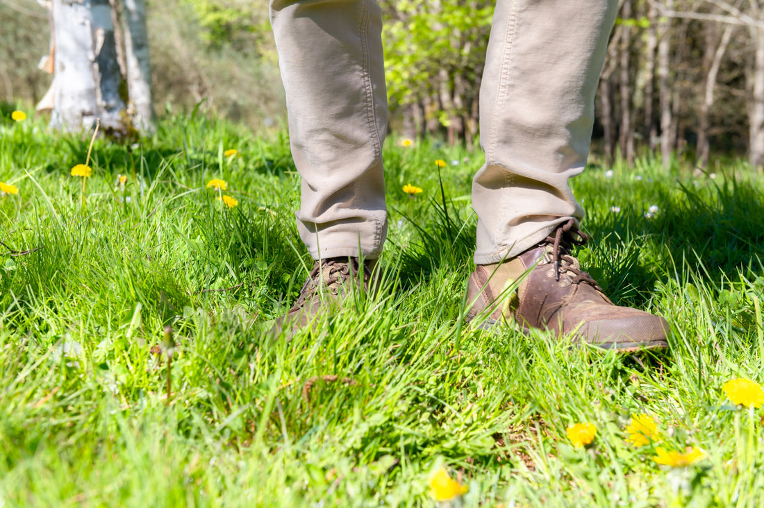 Rooted in the West - A Japanese Forest Bathing Experience