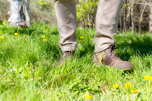 Rooted in the West - A Japanese Forest Bathing Experience