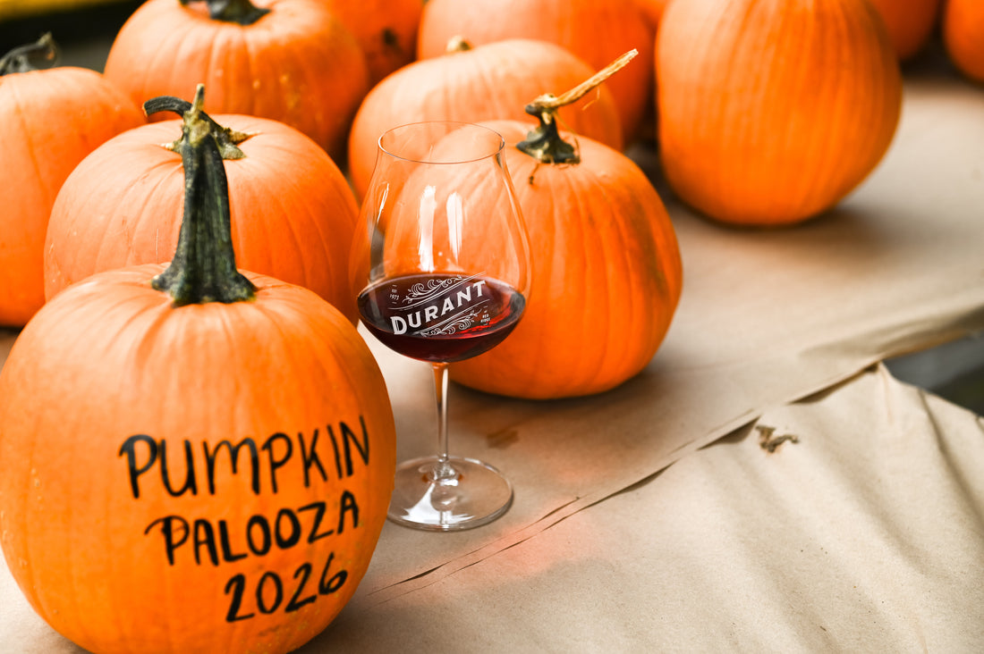 Pumpkin Palooza