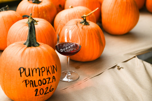 Pumpkin Palooza