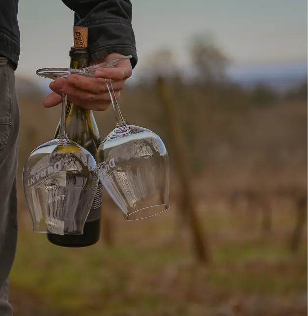 Harvest Celebration: Where Wine & Art Meet
