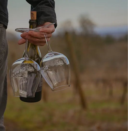 Harvest Celebration: Where Wine & Art Meet