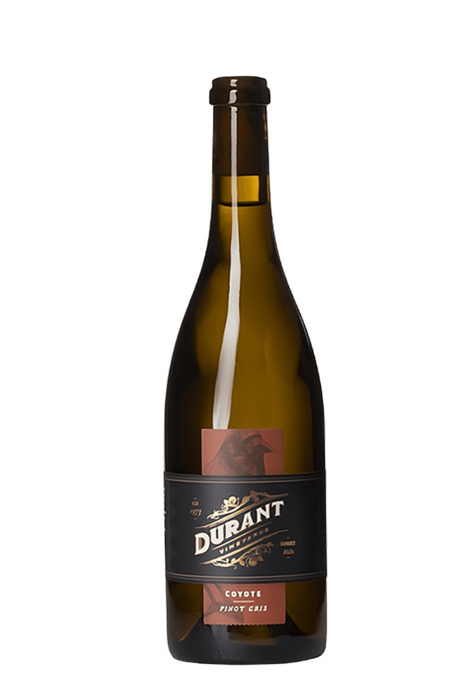 2023 Coyote Pinot Gris