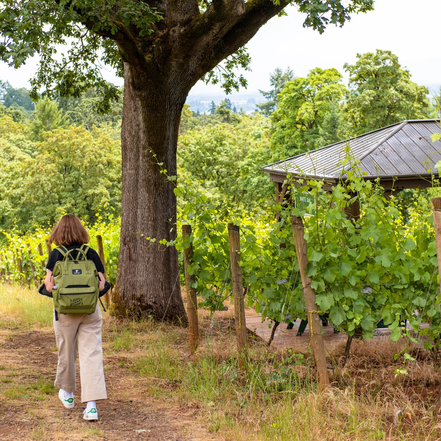Estate Hike & Picnic