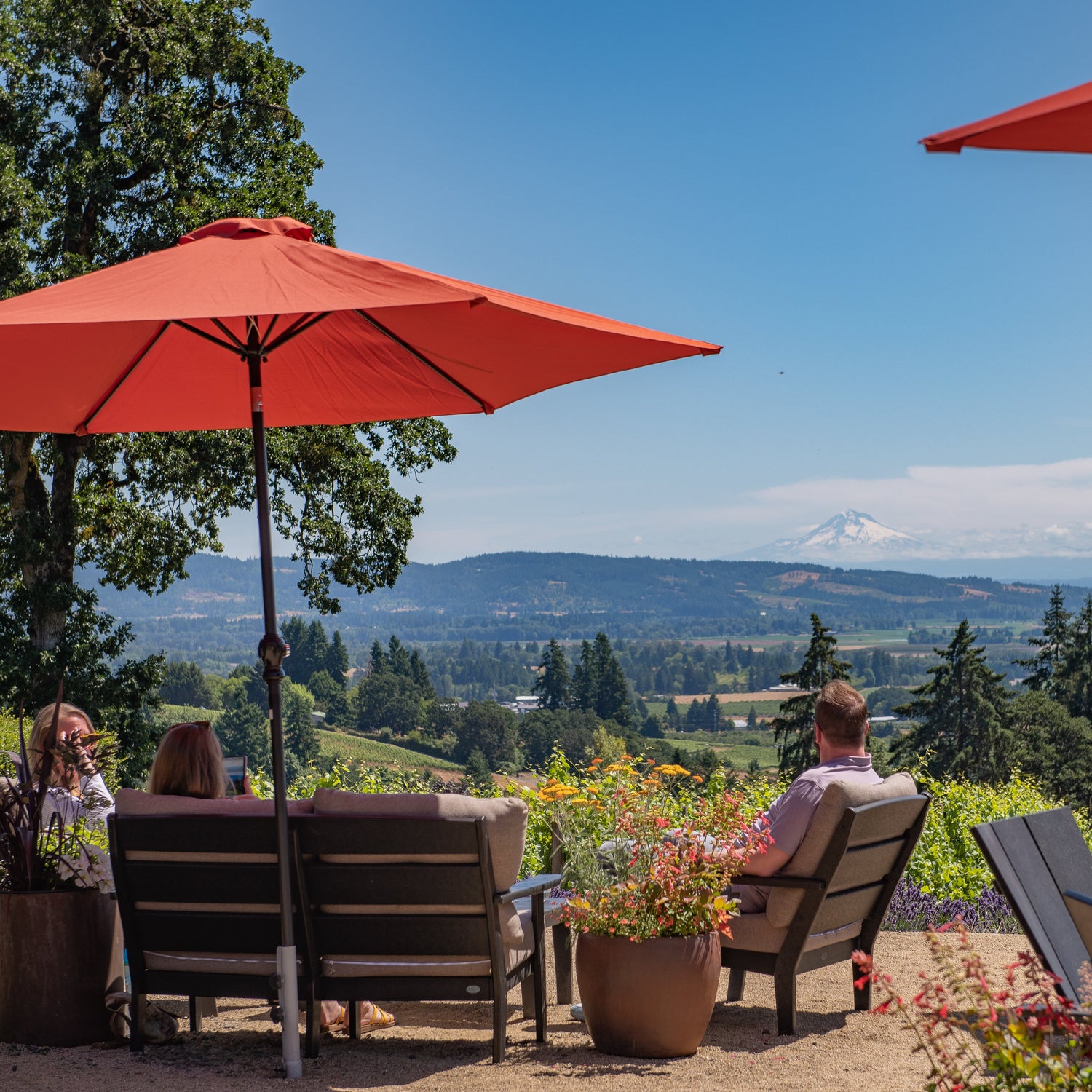 Classic Wine Tasting