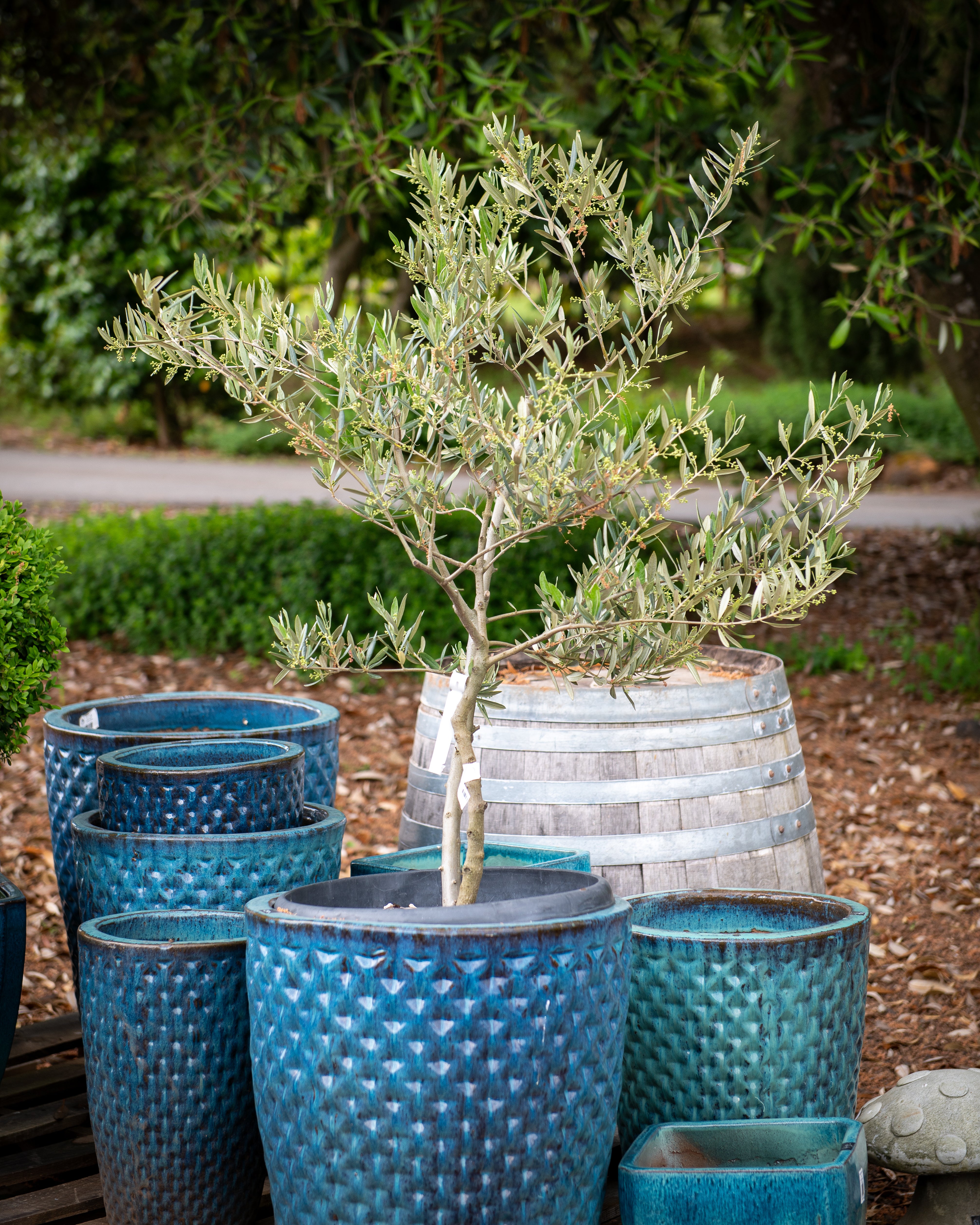 The Durant Farm & Olio Experience – Durant at Red Ridge Farms