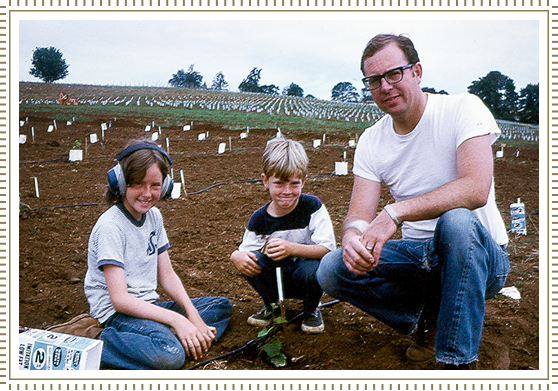<p>First vines planted.</p>