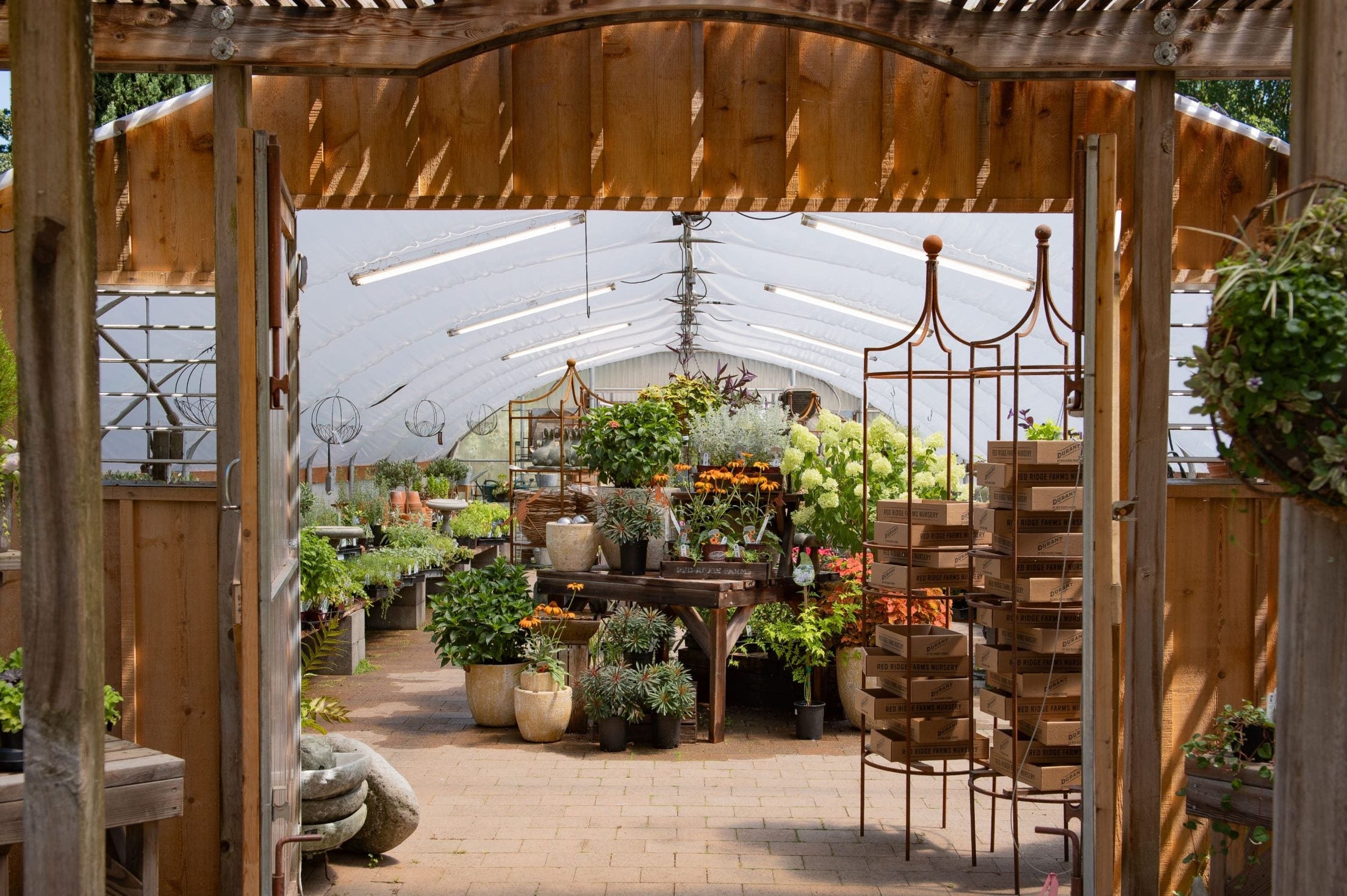 Garden center with wooden pergola and various plants and pots.