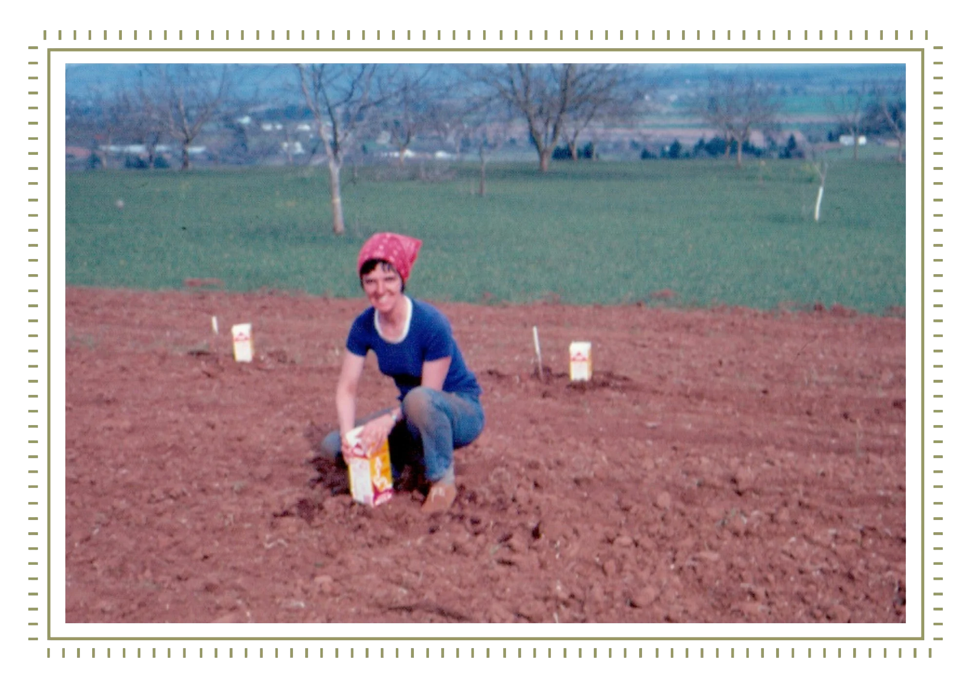 <p>As one of the first families to plant Pinot Noir in the <br/>Dundee Hills, the Durants were laying the groundwork for what would <br/>become our thriving winegrowing region.<br/>Pictured here is Penny Durant safegaurding the baby vines<br/>with old milk containers.</p>