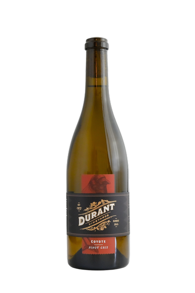 2021 Coyote Pinot Gris