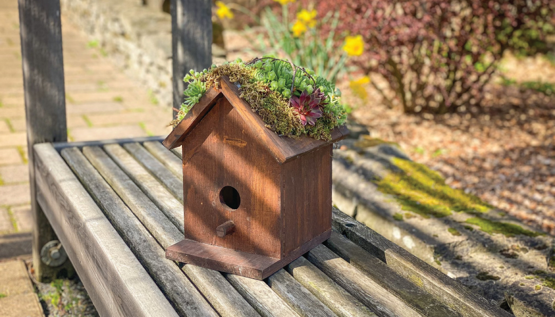 planted birdhouse
