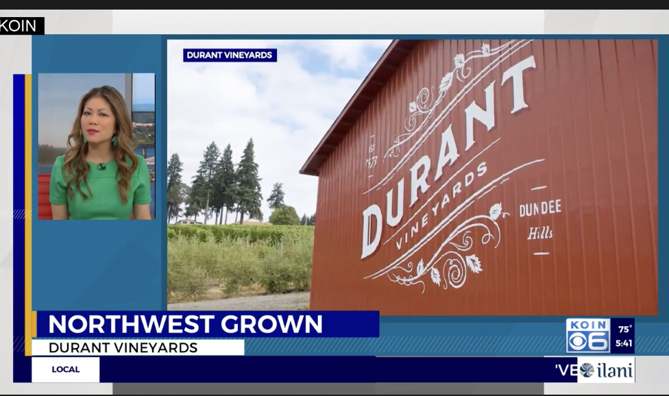 Kevin Durant visual data 5