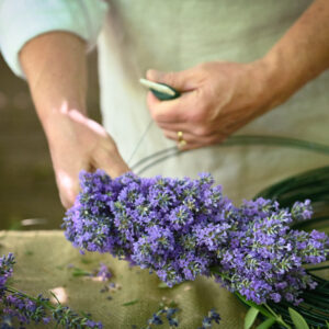 Lavender Wreath Making