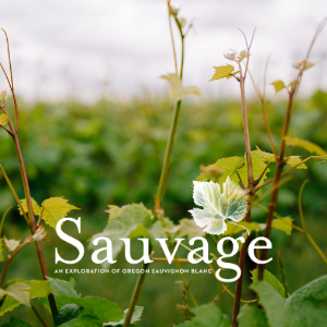 Sauvage | An Exploration of Oregon Sauvignon Blanc