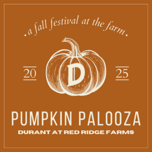 Durant Pumpkin Palooza Flyer annoucement for 2025