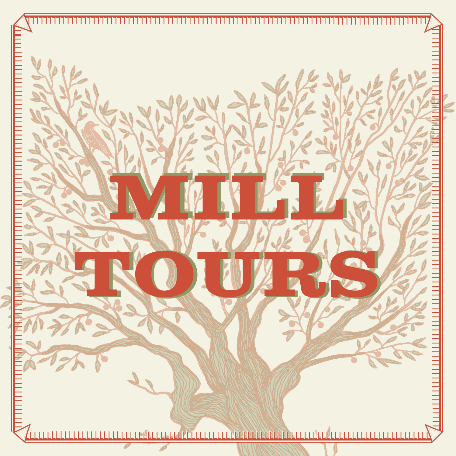 Olio Nuovo Mill tour Square